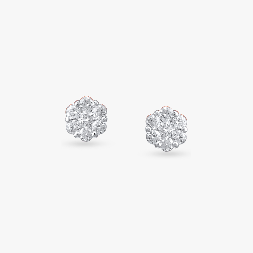 Elegant Oval Diamond Stud Earrings
Elegant Oval Diamond Stud Earrings