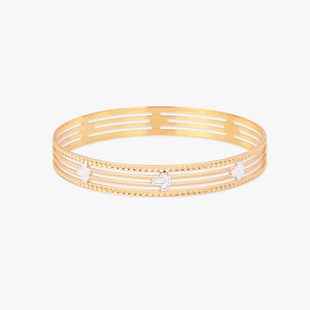 Gleaming Bangle
Gleaming Bangle