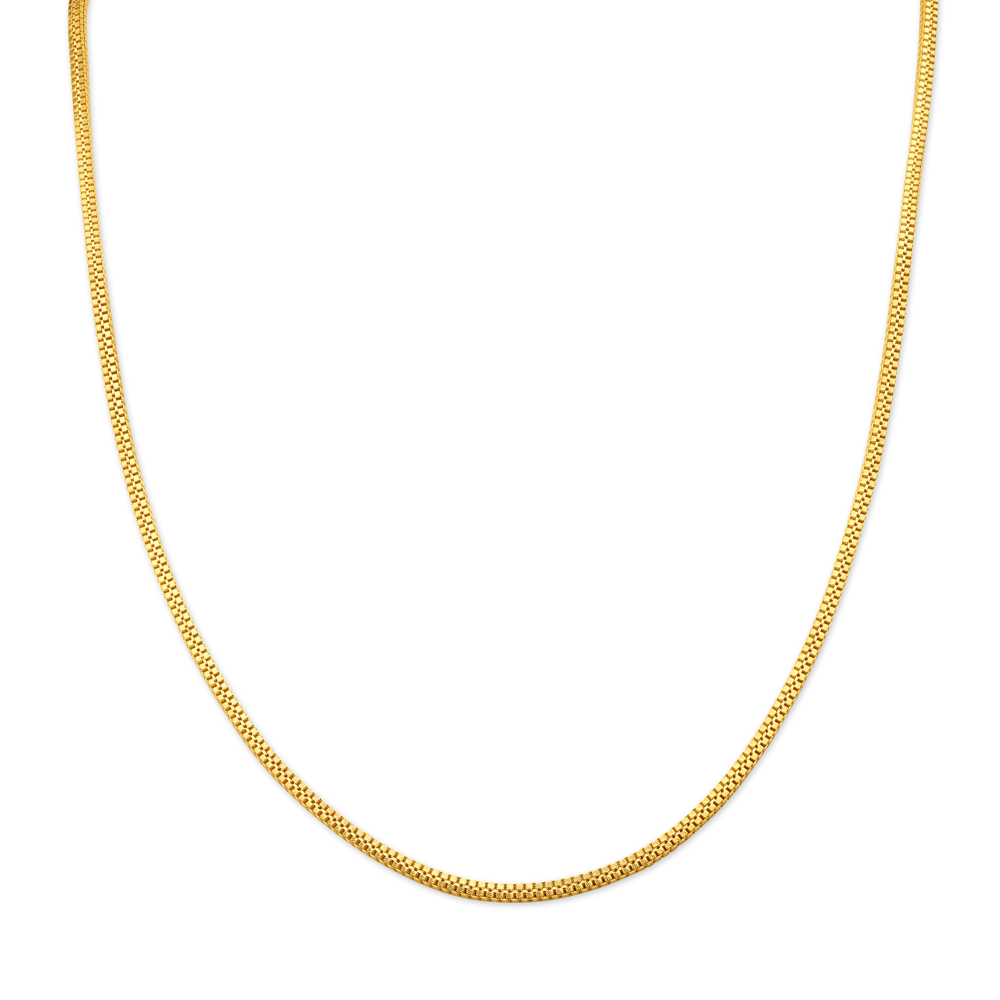 Entrancing Gold Chain
Entrancing Gold Chain