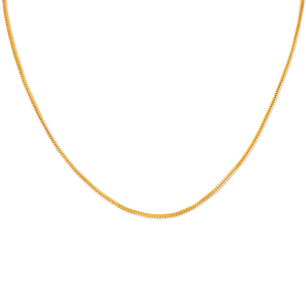 

Sleek Gold Foxtail Chain