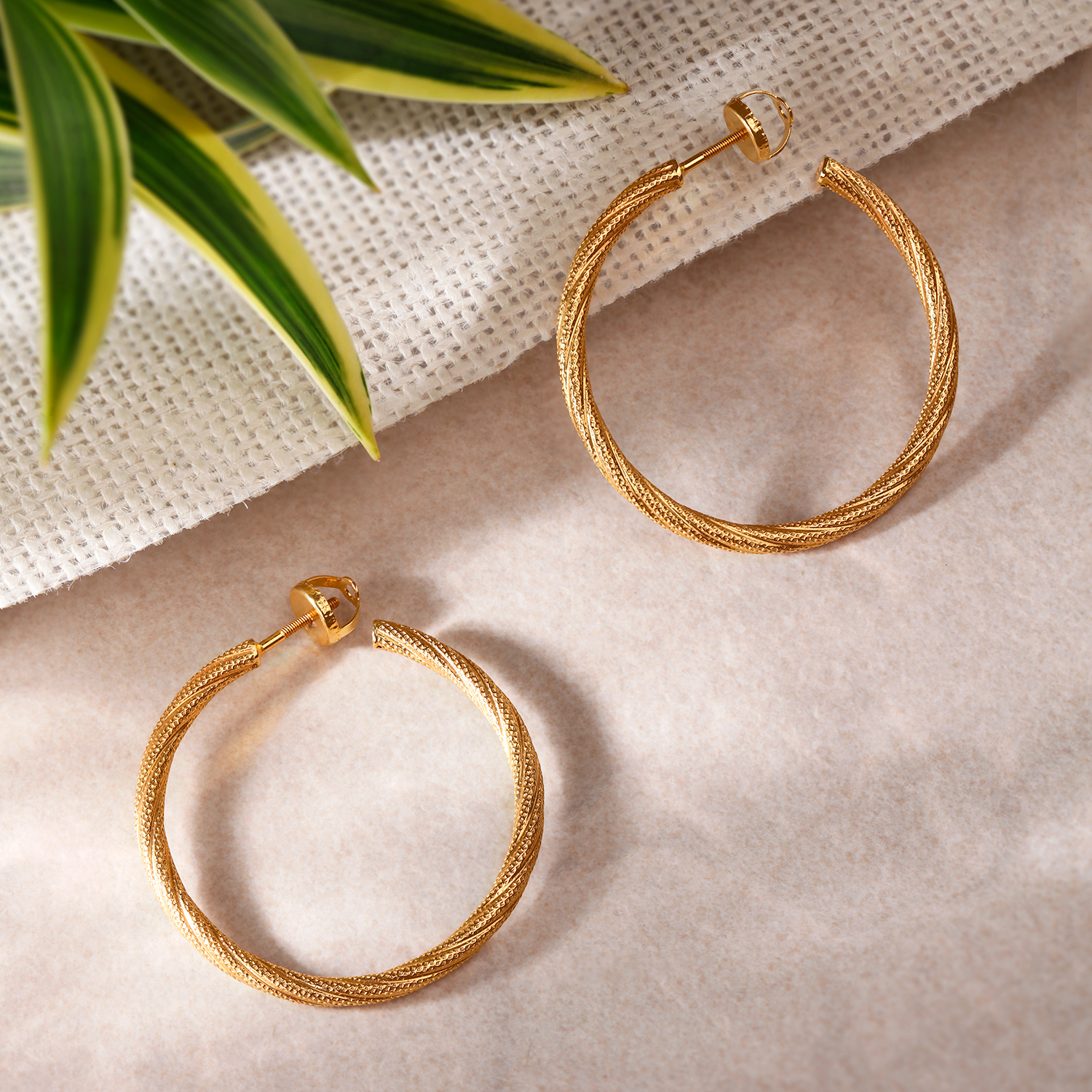 Stunning Gold Hoop Earrings