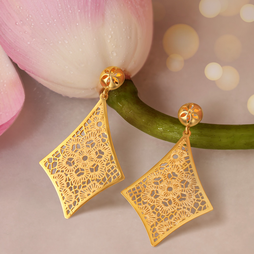

Stylish Jali Drop Earrings