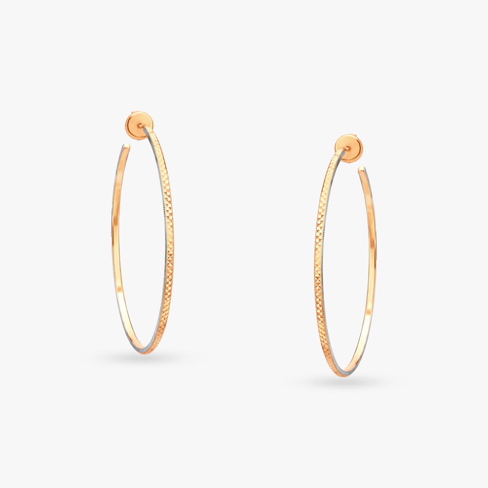 Embracing Dreams Hoop Earrings