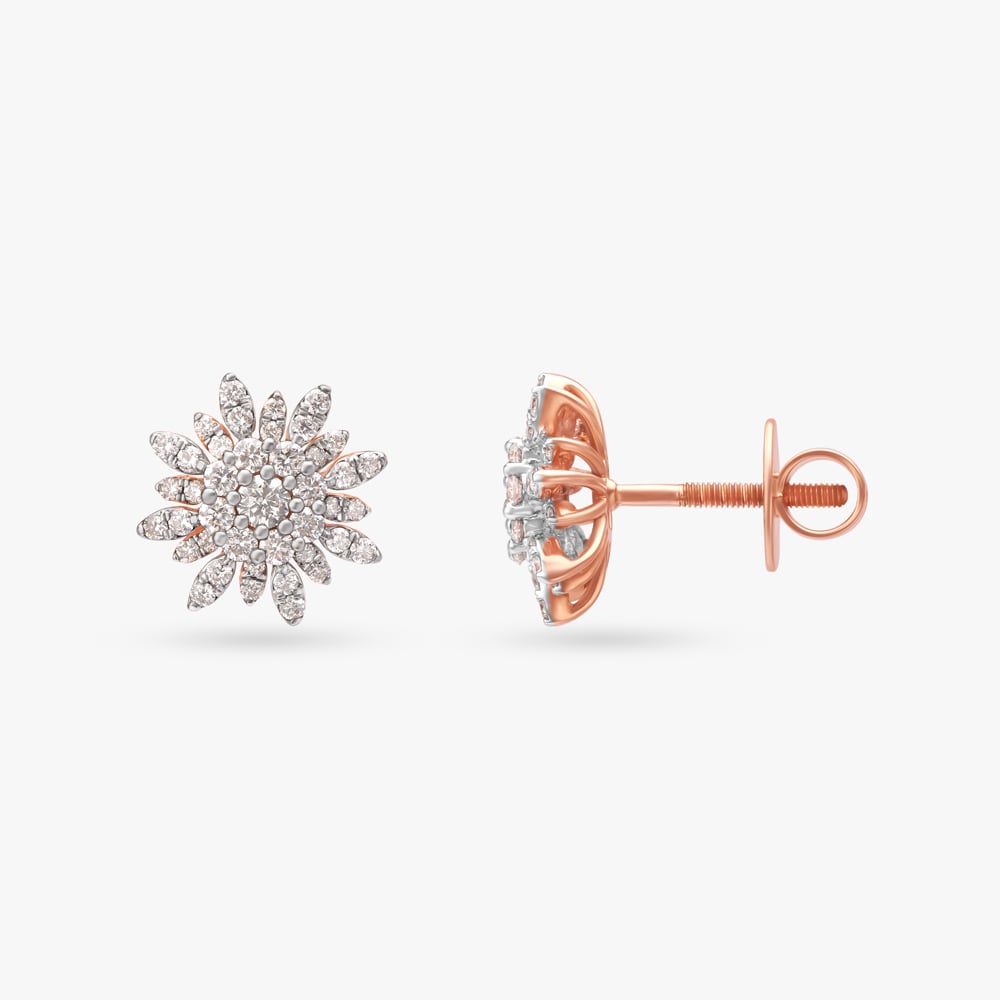 

Sparks Of Nature Diamond Stud Earrings