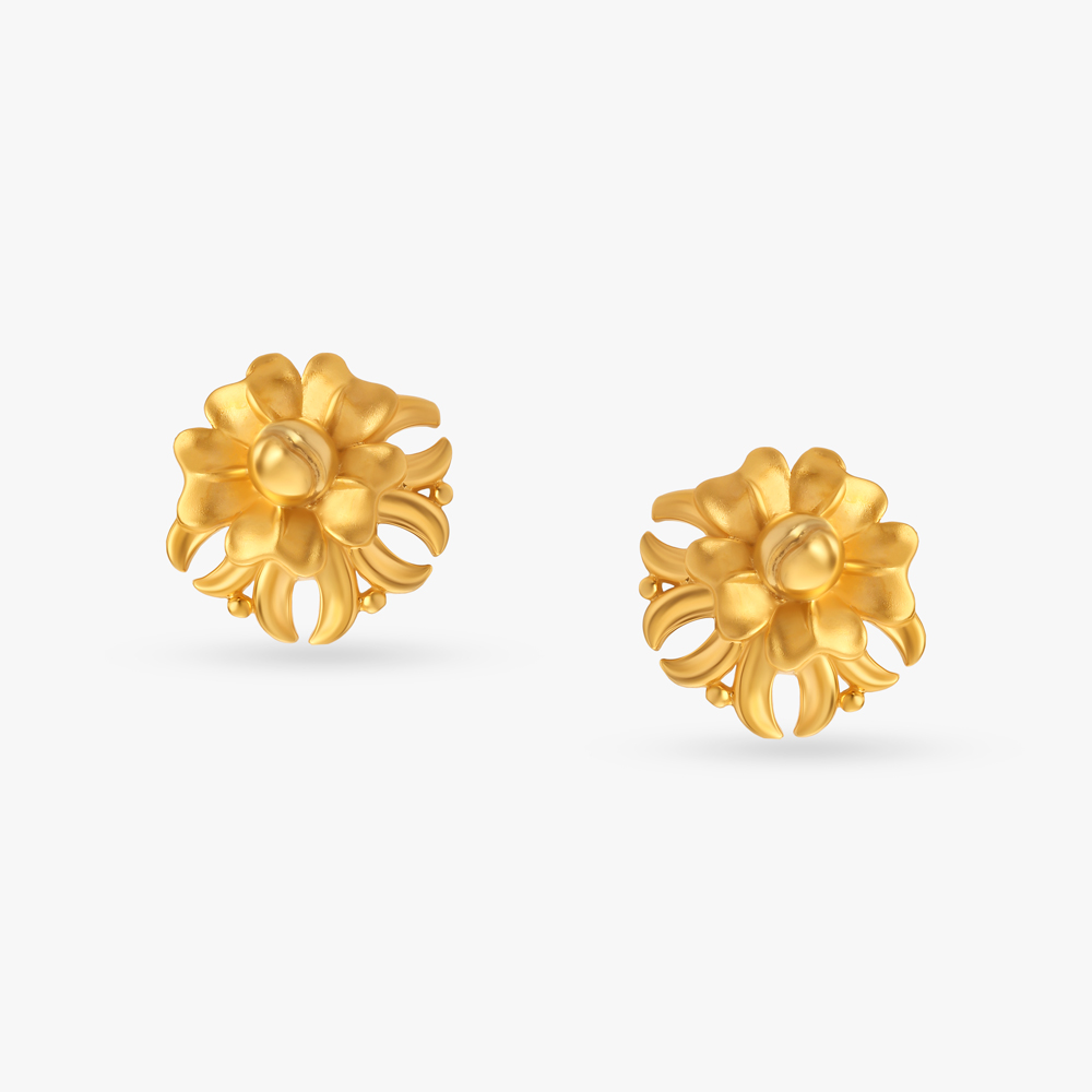 Stylish Stud Earrings